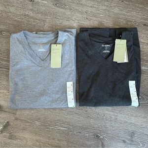 NWT Mens M Goodfellow & Co Gray V Neck Standard Fit Every Wear Tee Lot of 2
